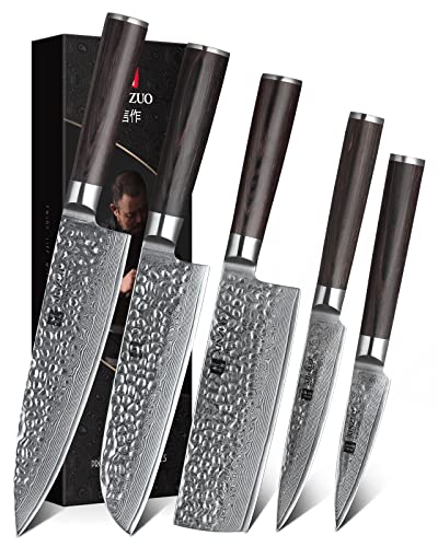 XINZUO Set Cuchillo Cocina 5 Piezas, 67 Capas de Acero de Damasco Profesional Juegos de Cuchillo de...